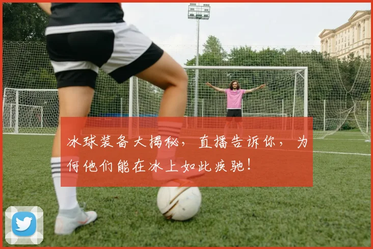 冰球装备大揭秘,直播告诉你,为何他们能在冰上如此疾驰!